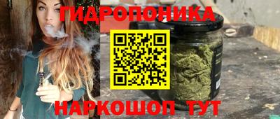 соль ск Новокубанск