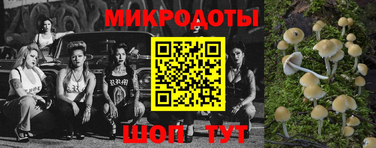 Галлюциногенные грибы Cubensis Урай